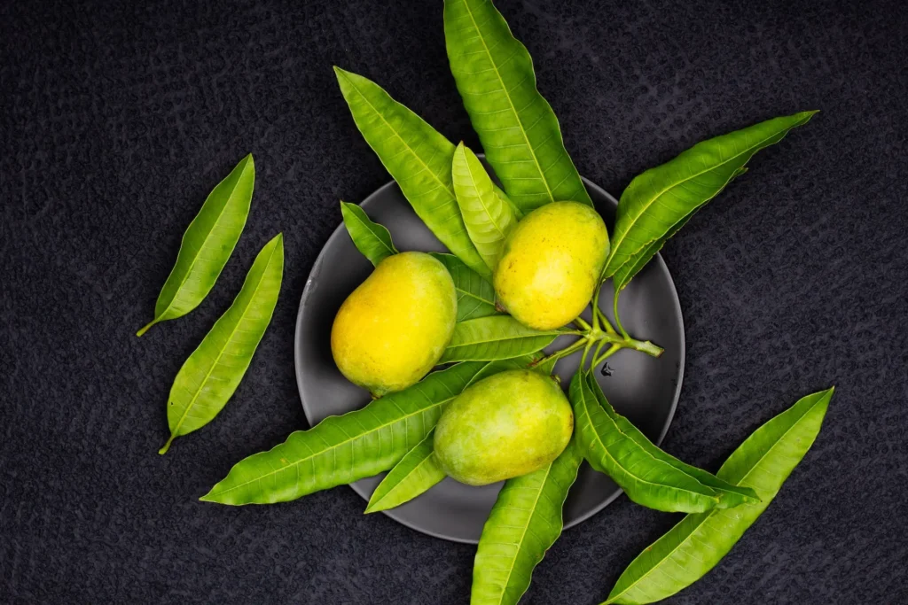 Green Mangoes and Leaves on a Plate