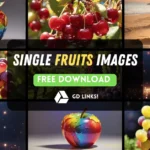 Single Fruits Images